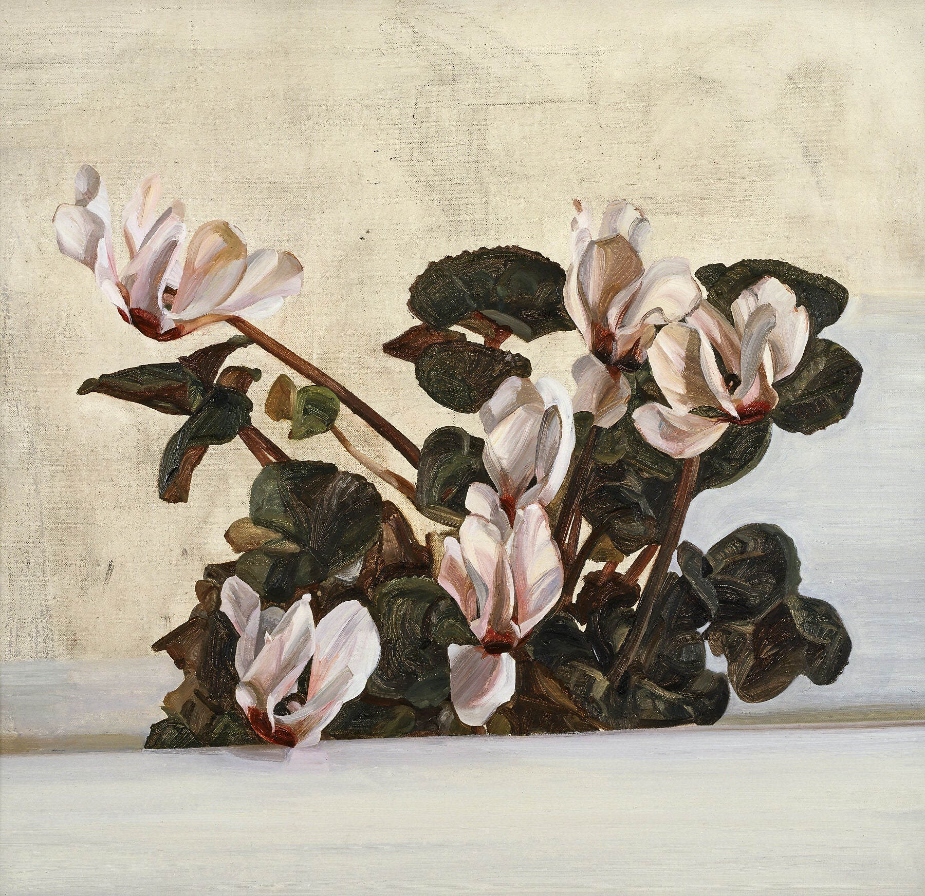 Cyclamen, 1964 - Lucian Freud by  Bridgeman Editions